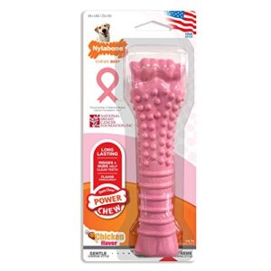 Nylabone Breast Cancer Awareness Pink Power Chew Textured Dog Toy Breast Cancer Awareness Pink Chicken X-Large/Souper (1 Count)
