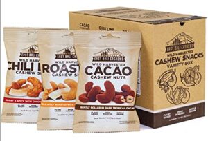 East Bali Cashews - Cashew Variety Snack Packs - Protein Packed, Gluten Free, Non-GMO, Vegan Friendly Snack - Oven Roasted & Naturally Flavored (Cacao, Roasted Coconut & Chili Lime) 10 - Count 1.23 Oz