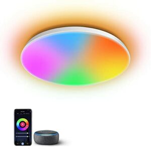 AIJIA Front RGB Smart Ceiling Light - 24w 12inch Flush Mount Ceiling Light Dimmable 3000-6500K Alexa/Google Assistant / App Control Color Changing LED Ceiling Light Fixture for Living Room Bedroom