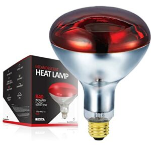 BULBMASTER 250 Watts R40 Red Heat lamp Flood Light Bulbs Infrared Reflector Incandescent Medium E26 Base 1 Pack