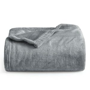 BEDSURE Fleece Blankets Twin Size Grey - 300GSM Lightweight Plush Fuzzy Cozy Soft Twin Blanket for Bed, Sofa, Couch, Travel, Camping, 60x80 inches