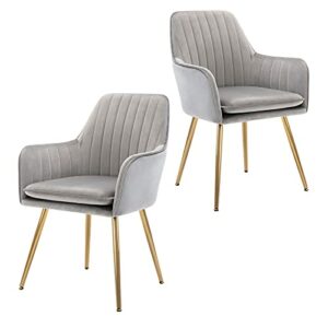 Golden Beach Velvet Dinning Chair Set of 2 Mid-Back Accent Chair Modern Leisure Armchair with Gold Plating Legs Upholstered Living Room Chair (Silver Gray-2PCS)