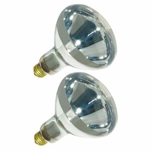 250R40/1 250-Watt, Incandescent R40 Reflector, Clear Head Lamp, Heat Flood Lamp Light Bulb, E26 Standard Medium Screw Base, 120V, 6,000 Hour Rated (Pack of 2-Clear-Heat Lamps)