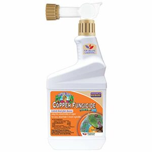 Captain Jack's Copper Fungicide, 16 oz Ready-to-Spray Disease Control for Organic Gardening