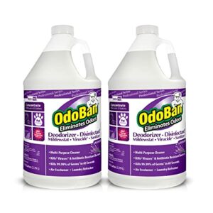 OdoBan Professional Series Concentrated Cleaner Deodorizer Disinfectant, Lavender Scent, 2 Gal