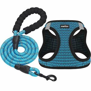 matilor Dog Harness Step-in Breathable Puppy Cat Dog Vest Harnesses for Small Medium Dogs