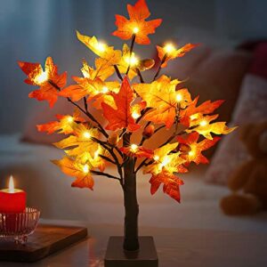 21 Inch Fall Decor Maple Tree Light with 24 LED Thanksgiving Artificial Tabletop Lighted Maple Tree 6 Acorn for Indoor Home Halloween Christmas Autumn Decorations (Warm White)