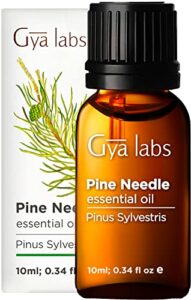 Gya Labs Pine Essential Oil (10ml) - 100% Pure Therapeutic Grade Fall Essential Oils - Undiluted Pine Oil for Diffuser & Candle Making