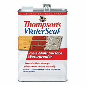Thompsons Water Seal 24101 Clear Multi-Surface Waterproofer, 1-Gallon