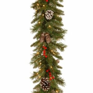 National Tree Company Pre-Lit Artificial Christmas Garland, Green, Frosted Berry, White Lights, Decorated with Pine Cones, Berry Clusters, Plug In, Christmas Collection, 9 Feet