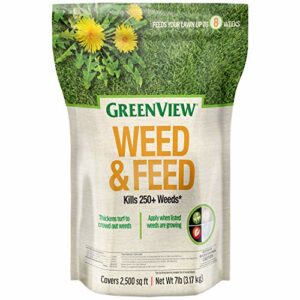 Greenview 2129860 Weed & Feed, Covers 2,500 sq ft