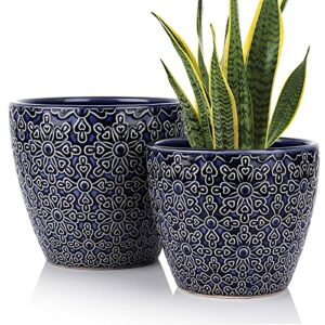 2 Pack Ceramic Plant Pots Indoor, DeeCoo Flower Pot Set 5.5 + 6.5 Inch, Blue Planters for Plants, Clay Plant Pots with Drainage Hole for Snake Plants, Orchid, Succulent, Cactus - Outdoor Garden Pots
